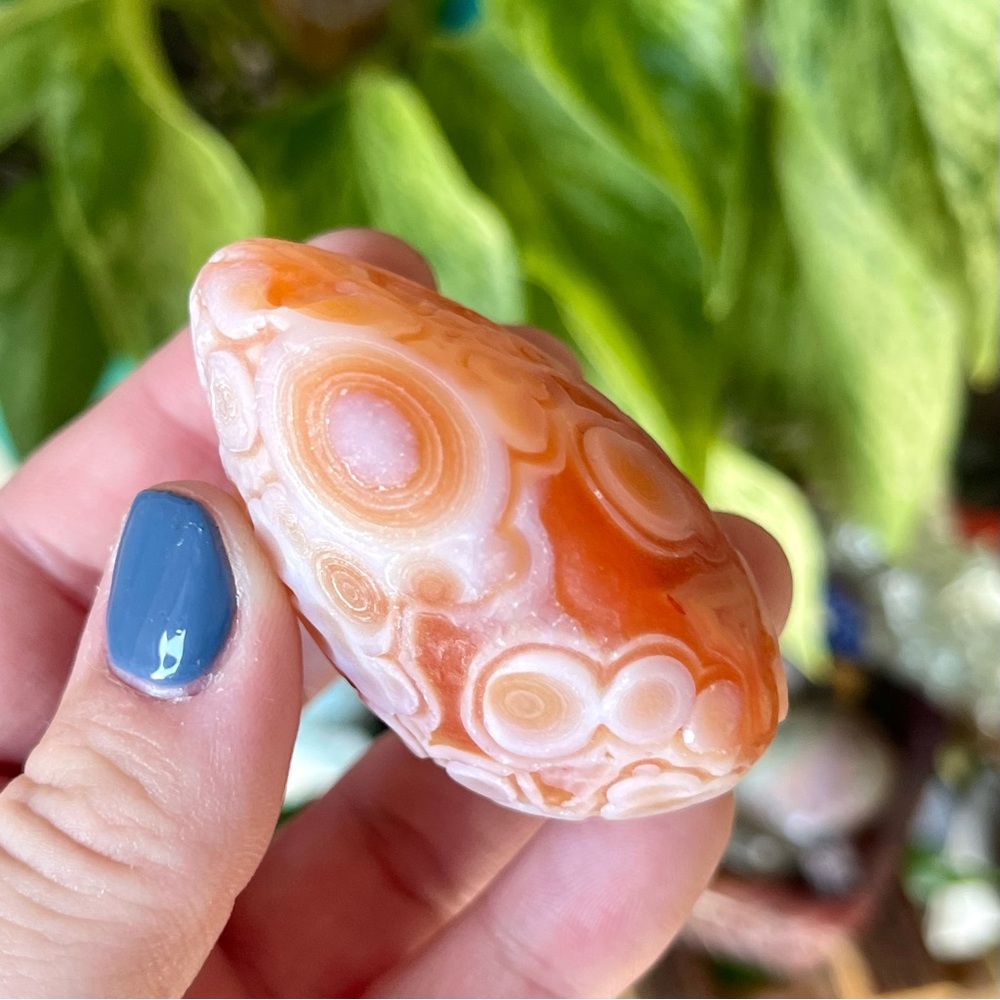 🧡Orbicular Gobi Agate Crystal Specimen Inner Mongolia🧡 - Picture 5 of 5